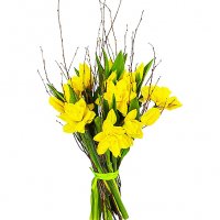 Påsktulpaner - Påskblommor - Skicka blommor